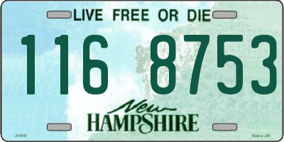 NH license plate 1168753