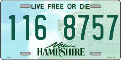 NH license plate 1168757