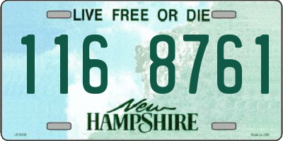 NH license plate 1168761