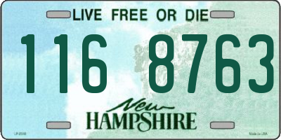 NH license plate 1168763