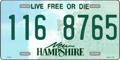NH license plate 1168765