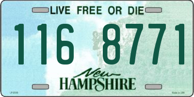 NH license plate 1168771