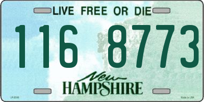 NH license plate 1168773