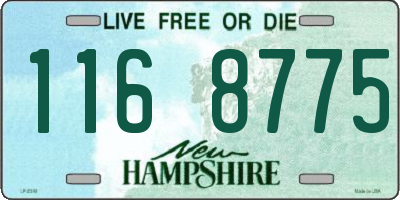 NH license plate 1168775