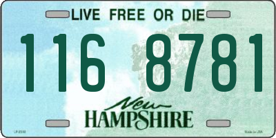 NH license plate 1168781