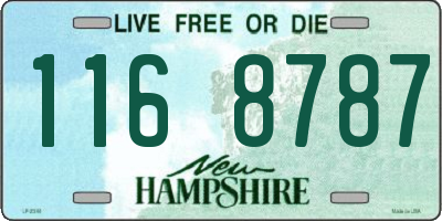 NH license plate 1168787