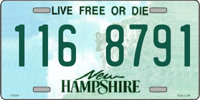 NH license plate 1168791