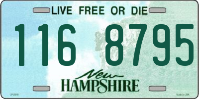NH license plate 1168795