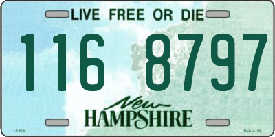 NH license plate 1168797