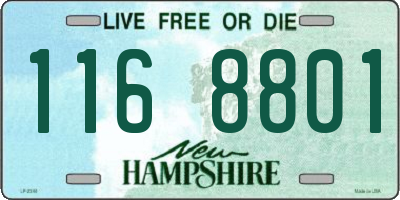 NH license plate 1168801