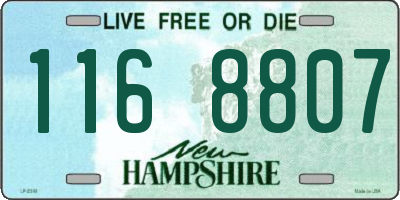 NH license plate 1168807