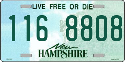 NH license plate 1168808