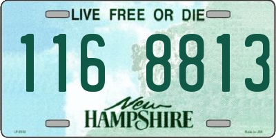 NH license plate 1168813