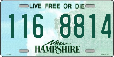 NH license plate 1168814