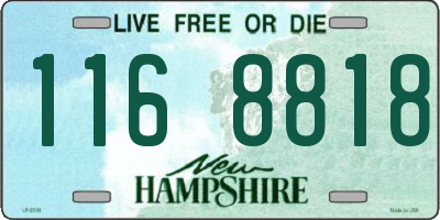 NH license plate 1168818