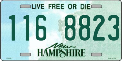 NH license plate 1168823