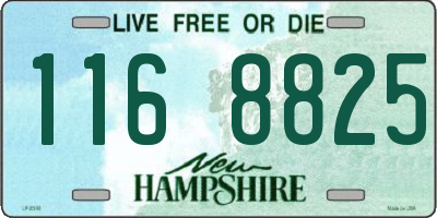 NH license plate 1168825