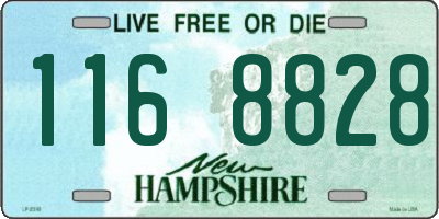 NH license plate 1168828