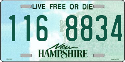 NH license plate 1168834