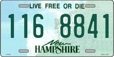 NH license plate 1168841