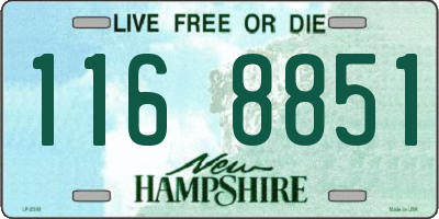 NH license plate 1168851