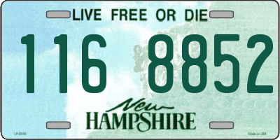 NH license plate 1168852