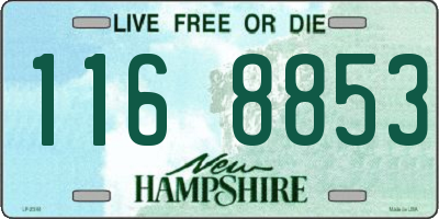 NH license plate 1168853