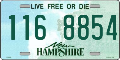 NH license plate 1168854