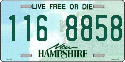 NH license plate 1168858