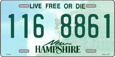 NH license plate 1168861