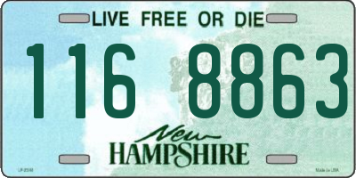 NH license plate 1168863