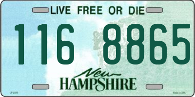 NH license plate 1168865