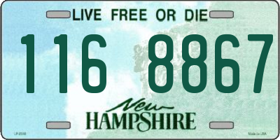 NH license plate 1168867