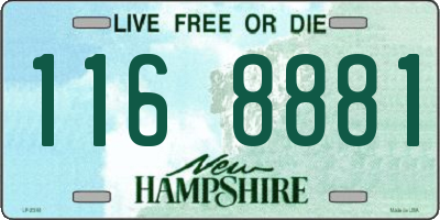 NH license plate 1168881
