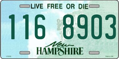 NH license plate 1168903