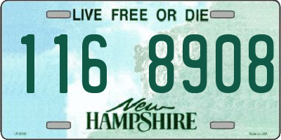 NH license plate 1168908