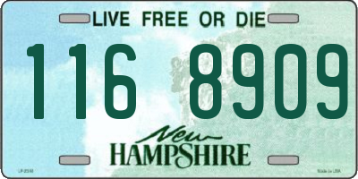 NH license plate 1168909