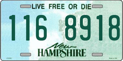 NH license plate 1168918