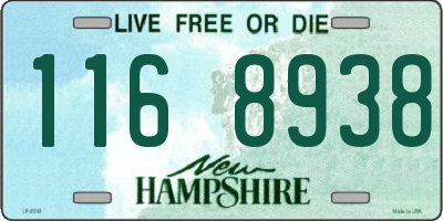 NH license plate 1168938