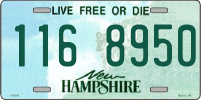 NH license plate 1168950
