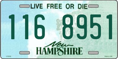 NH license plate 1168951