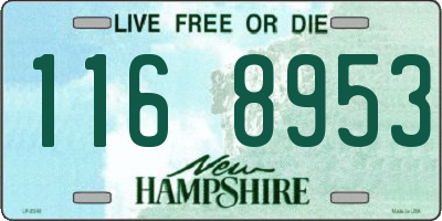 NH license plate 1168953