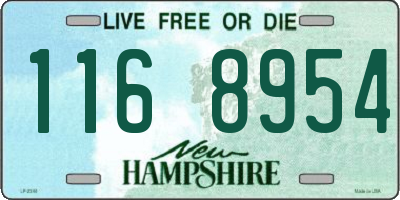 NH license plate 1168954
