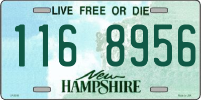 NH license plate 1168956