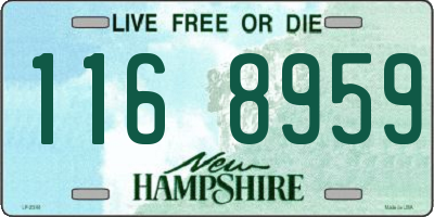NH license plate 1168959