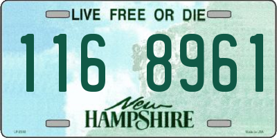 NH license plate 1168961