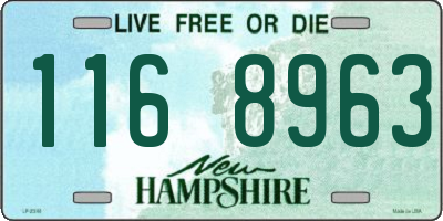 NH license plate 1168963