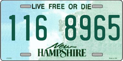 NH license plate 1168965