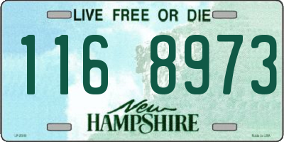 NH license plate 1168973