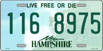 NH license plate 1168975